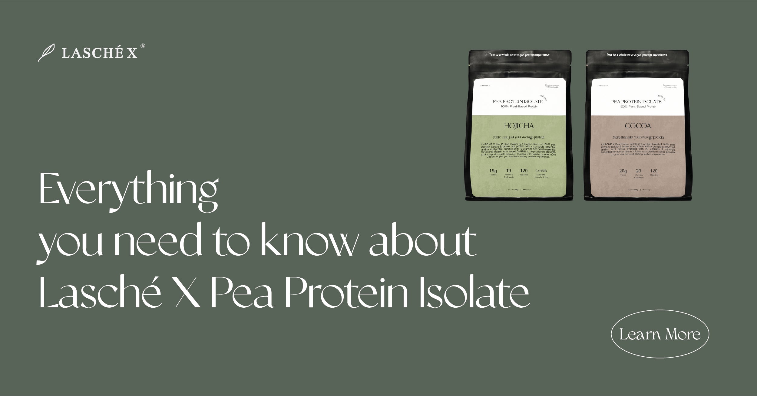 About Lasché X Pea Protein Isolate