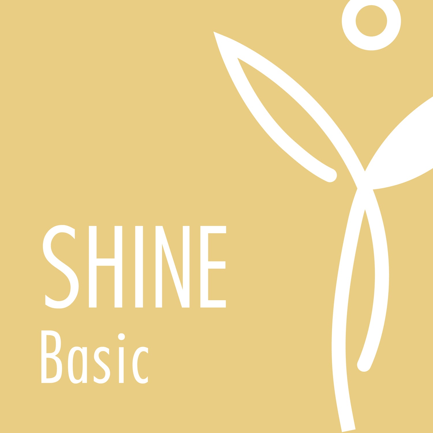 SHINE_Basic___Premium_Thumbnail-01.jpg